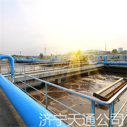 【吉林白山某面粉厂废水处理,污水排放处理解决方案】-