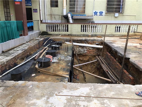 学校污水处理设备厂家 绵阳学校污水处理设备 山东美卓环保高清图片 高清大图